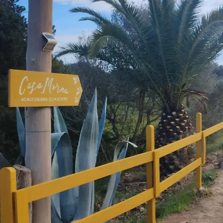Casa Morna Ibiza 팜스테이 *