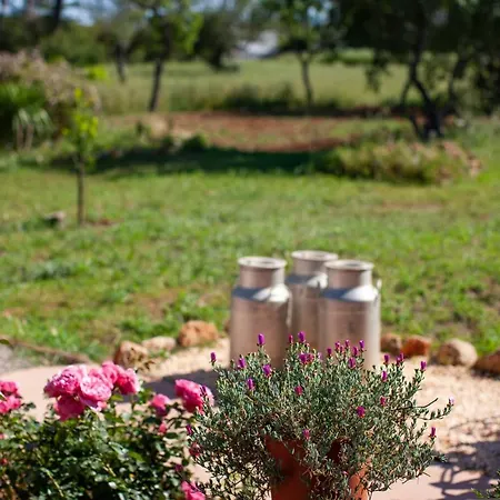 Çiftlik konaklama Casa Morna Ibiza